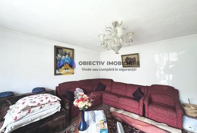 Casa traditionala Bodesti - 8