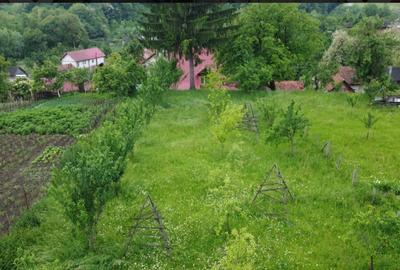 Imobil+ teren zona turistica județul Argeș- 1500 mp teren și 400 mp utili imobil - 7