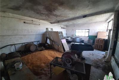 Teren 4000 mp + casa demolabila in Bragadiru/Varteju (Magurele) - 16