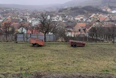 Spațiu comercial, de 3,600 mp, în Șura Mare - 3