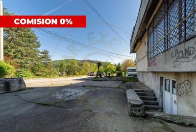 Inchiriere spatiu de depozitare 247 mp, curte 158 mp, Campul - 12