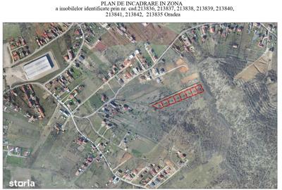 Spațiu comercial, în Paleu - 3