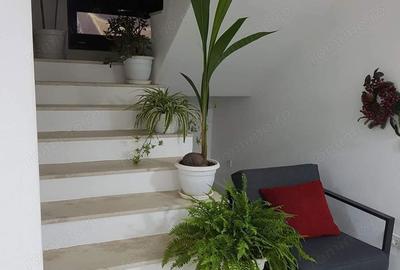 Casă cu 3 camere cu Teren 588 Mp în Freidorf