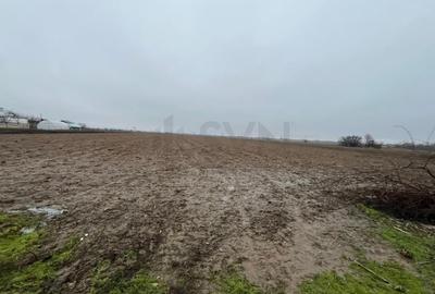 Teren Construcții intravilan de 4200 mp, în Merii - 5