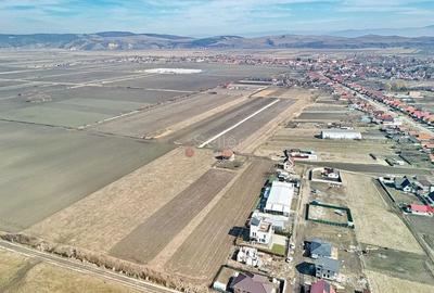 Teren Extravilan, P.U.Z. inceput - 17