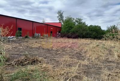 Teren de 1800 mp, în Movilița - 3