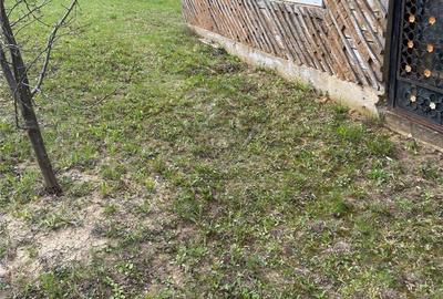 Spațiu comercial, în Șotrile - 13