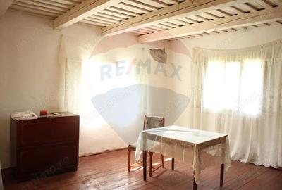 Casă cu 2 camere cu Teren 2447 Mp în Hoteni - 5