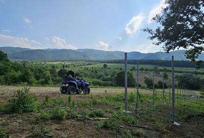 Teren de 2700 mp, în Tălmaciu - 3