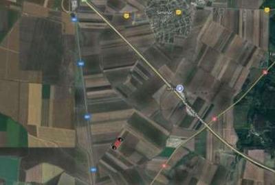 Teren de 6000 mp, în Ciocârlia - 1