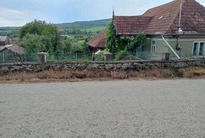 Vand casa la ?ara, teren ?i anexe, com Tureni, sat Mice?ti, jud Cluj