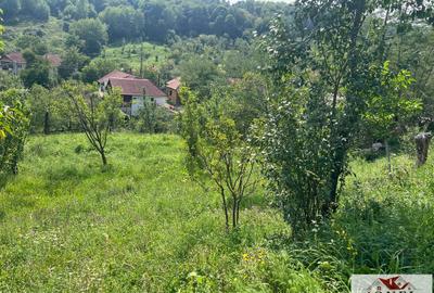 Teren Construcții de 669 mp, în Ampoița - 5