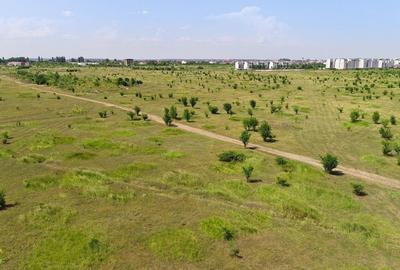 Teren intravilan de 3000 mp, în Băneasa