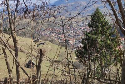 Teren de 5000 mp, în Rucăr - 3