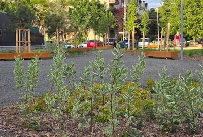 ÎNCHIRIEZ APARTAMENT o cameră confort 1,f. spațios, zona Centrală, Lunei/Complex - 10