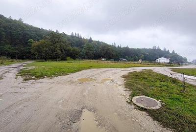 Teren intravilan de vanzare 2.000 mp, Cristian - Bra?ov. - 3