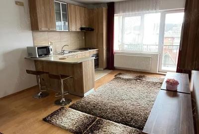 Apartament cu 2 camere semidecomandat în Baciu - 2