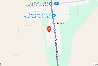 Teren 1200 mp sat Lucianca comuna Butimanu jud Dambovita 12,4 euro mp