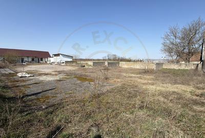 Casă individuală cu 4 camere cu Canalizare în Carei - 3