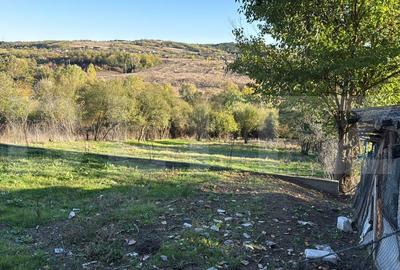 Teren Construcții intravilan de 2000 mp, în Exterior Vest - 5