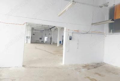Hala productie, stocare de 477 de mp. la granita de sud a orasului - 3