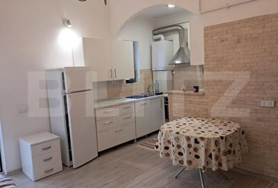 2 case de vanzare/inchiriere - Calea Turzii, Cluj-Napoca - 17