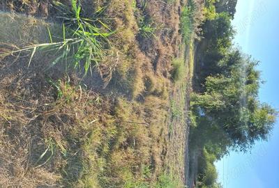 Casă cu 2 camere cu Teren 1918 Mp în Școlilor - 2