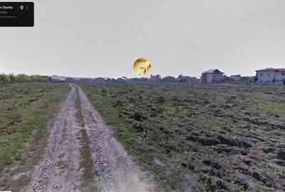 Teren intravilan 15.000mp langa FRF si Padure - Mogosoaia - 7