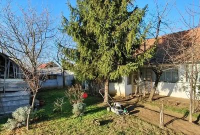 Casă cu 4 camere în Orțișoara - 10