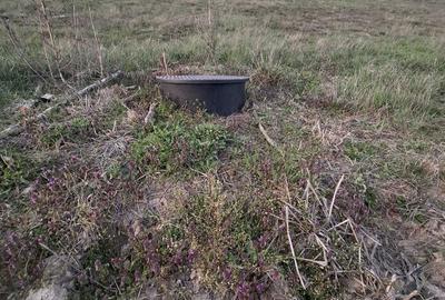 Teren de 2422 mp, în Șumugiu - 7