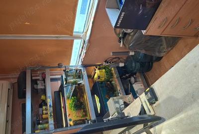 Garsonieră semidecomandată în Basarabia - 7