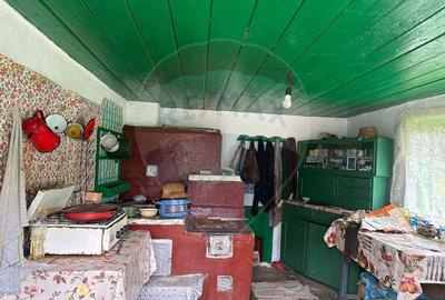 Teren intravilan 4.779 mp + casa si anexe - Girov, Neamt - 9
