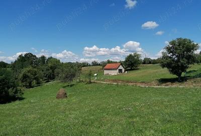 Teren de 8000 mp, în Dealu Mare - 6