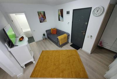 Apartament cu 2 camere semidecomandat, mobilat în Parcul Carol - 4