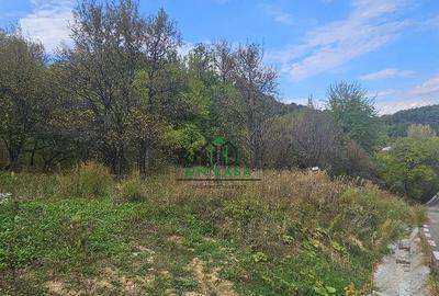 Teren intravilan 828 mp/Baile Govora - 6