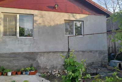 Casă cu 4 camere în Babadag - 12