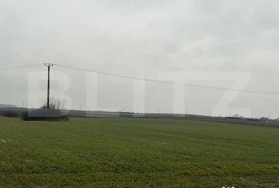 Teren în Central - 1