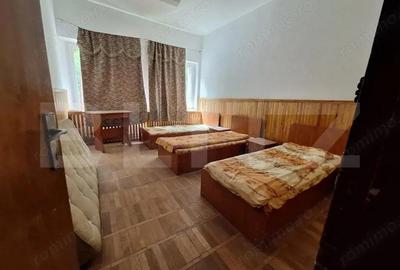Proprietate de cazare, spatii comerciale, Lugoj - 4