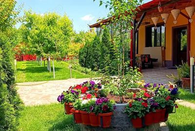 Casa de vanzare Cazasu Braila - 8