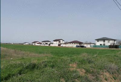 Teren de 7500 mp, în Adunații-Copăceni - 5