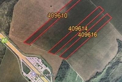 Vand Teren 5 hectare - 1