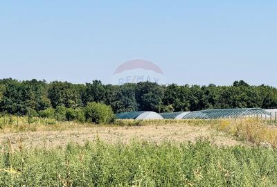 Teren Construcții intravilan de 6210 mp, în Apateu - 6