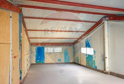 Spatiu industrial de 490mp de inchiriat in zona Sud - 8
