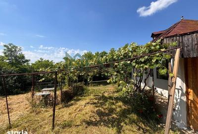 Casă cu 2 camere cu Teren 3200 Mp în Traian - 18