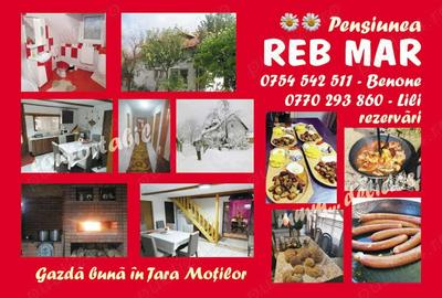 Casa tip pensiune caramida poroterm - 3