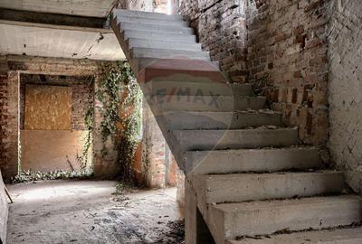 Casa + teren 786 mp strada Transilvaniei - 7