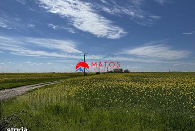 Teren de 5000 mp, în Central