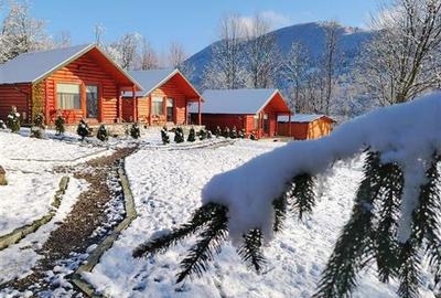 Casă individuală cu 4 camere cu Teren 2450 Mp în Valea Doftanei - 4