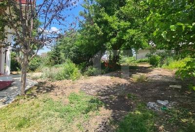 Casa Rediu, Horlesti 150 mp, 1200 mp teren - 4