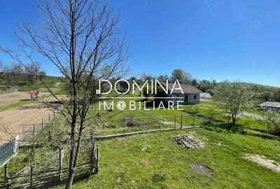 Casă cu 4 camere cu Teren 4692 Mp în Rasova - 1